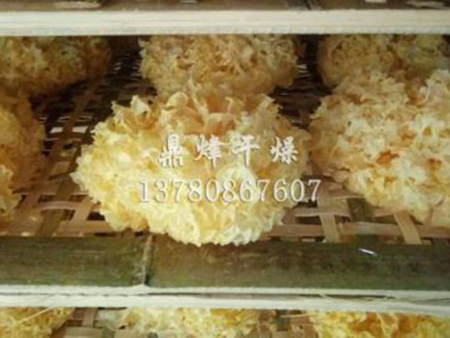 银耳烘干机